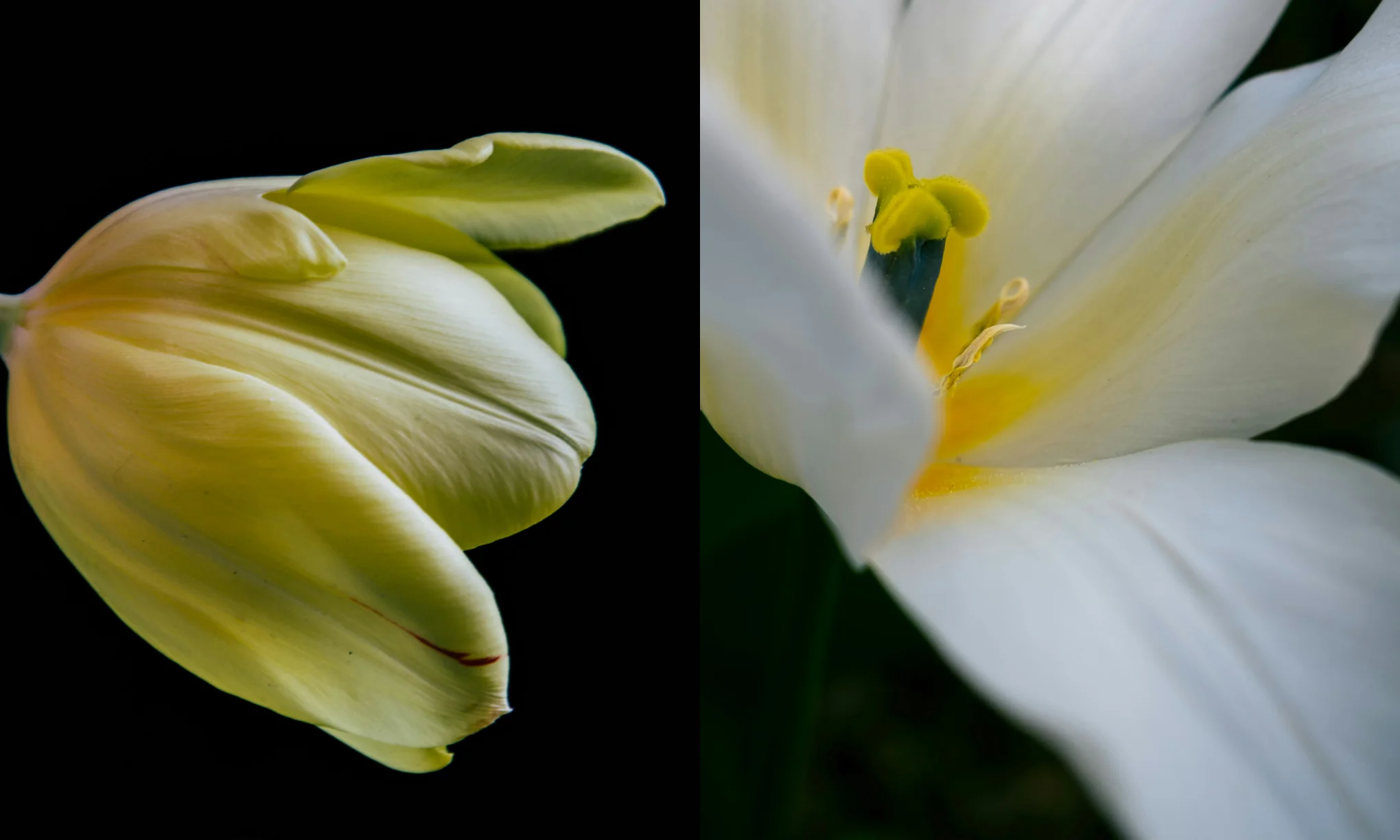 Artisan Fragrance, Crafted in London